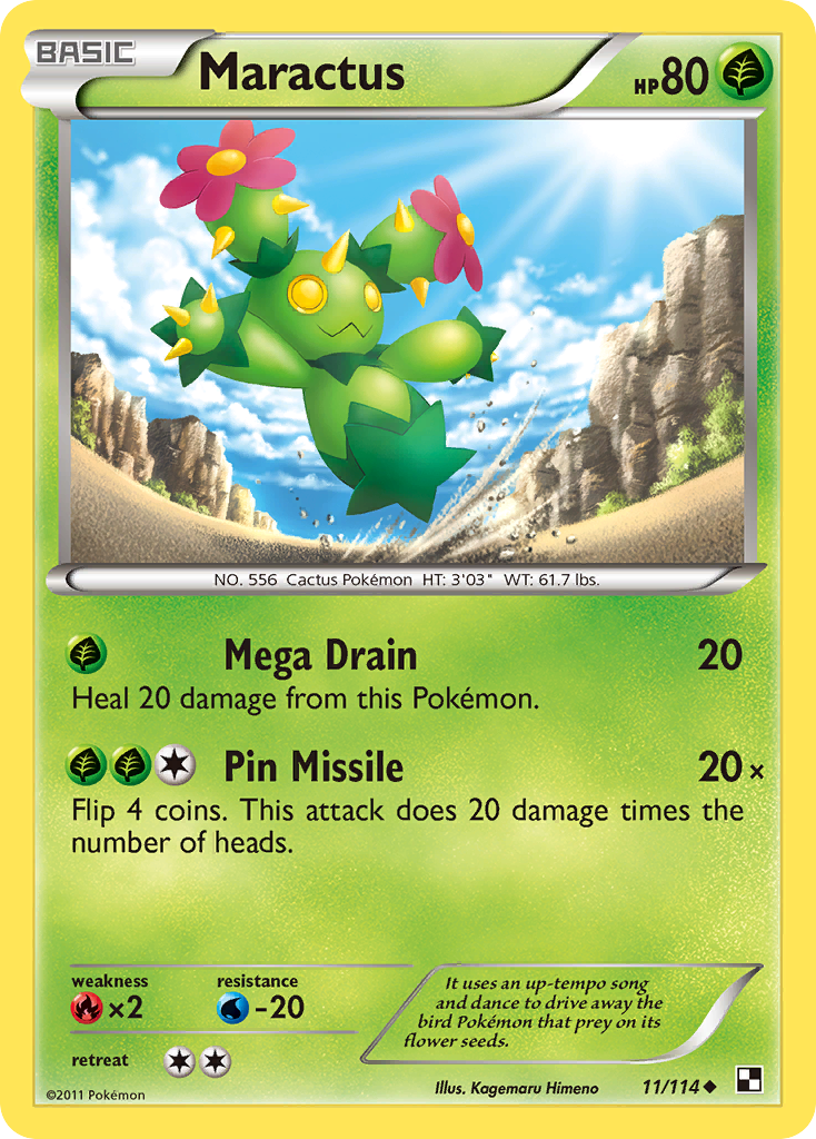 Maractus — illustrated card
