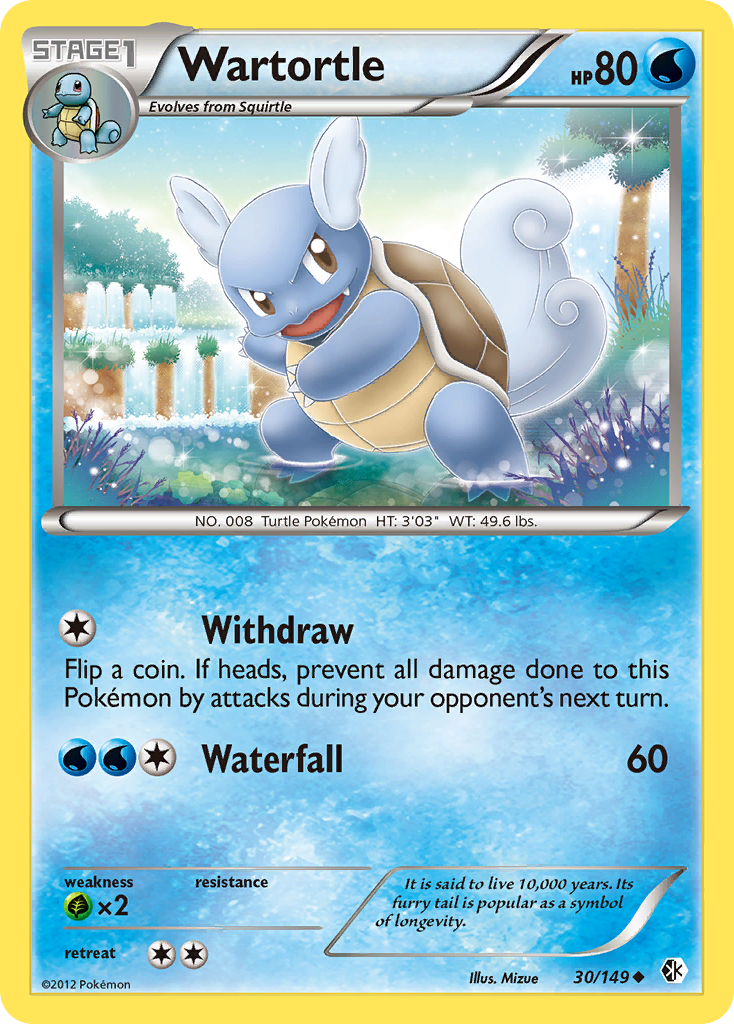 Wartortle — illustrated card