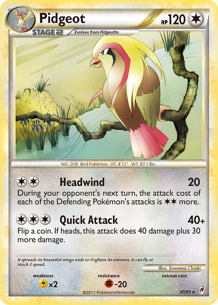 Pidgeot — illustrated card