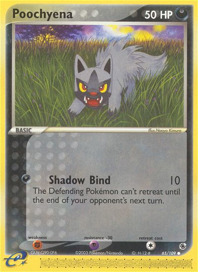 Poochyena — illustrated card