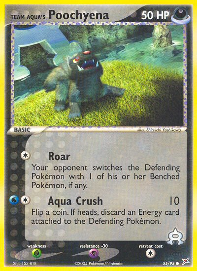 Team Aqua's Poochyena — illustrated card