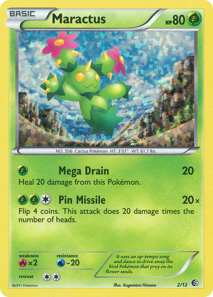 Maractus — illustrated card