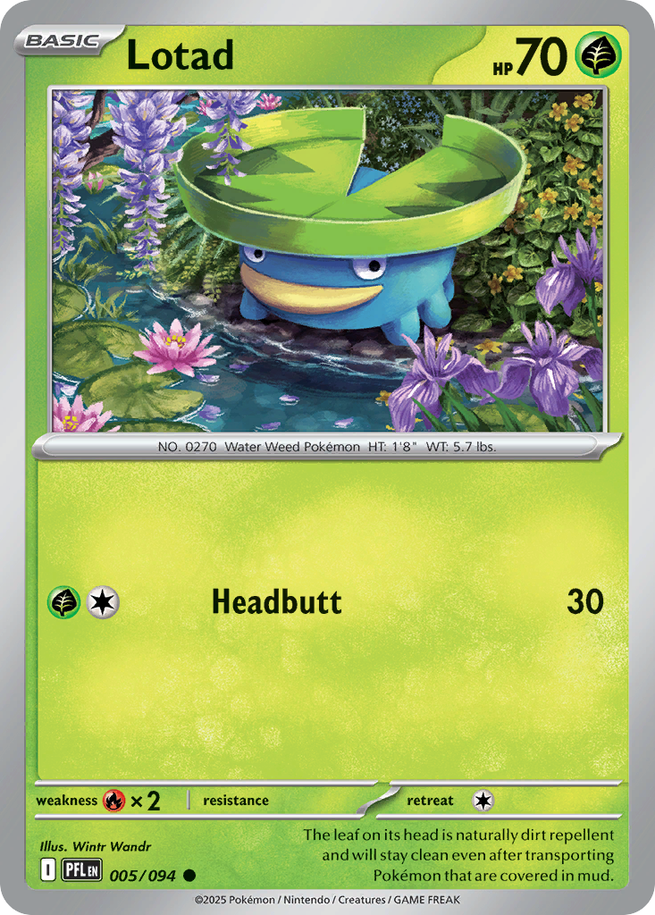 Lotad — illustrated card