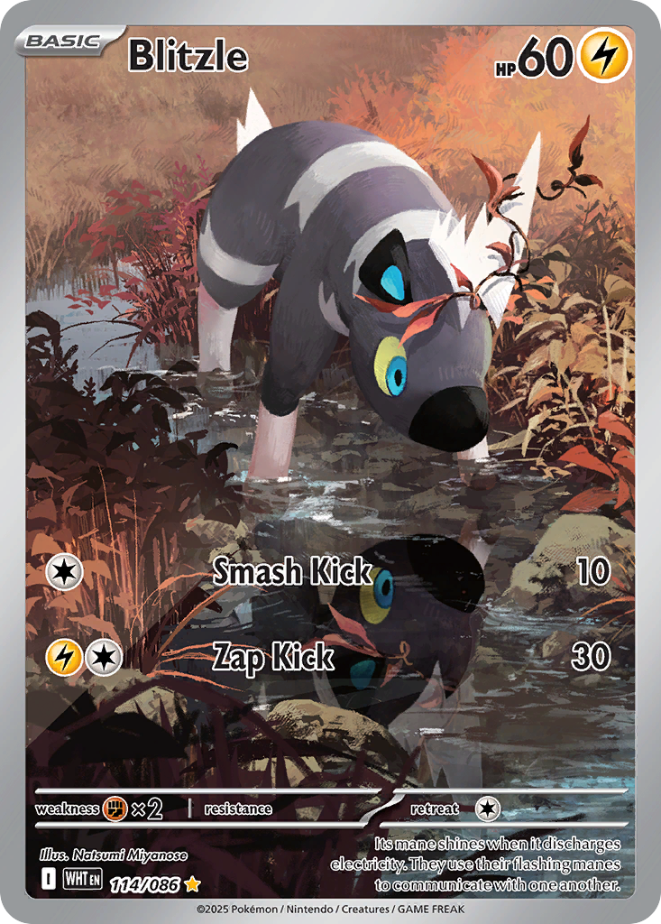 Blitzle — illustrated card