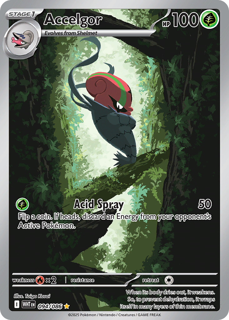 Accelgor — illustrated card
