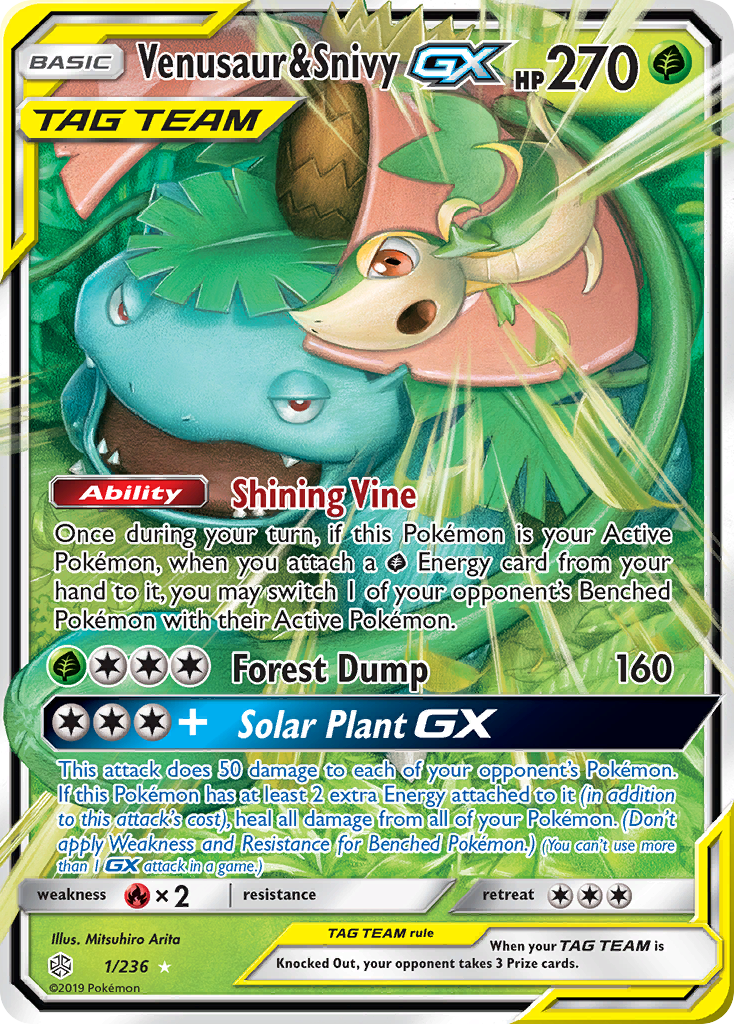Venusaur & Snivy-GX — illustrated card