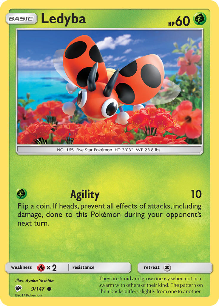 Ledyba — illustrated card