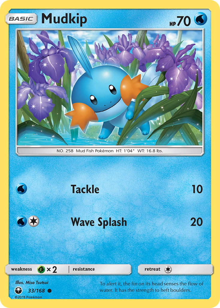 Mudkip — illustrated card