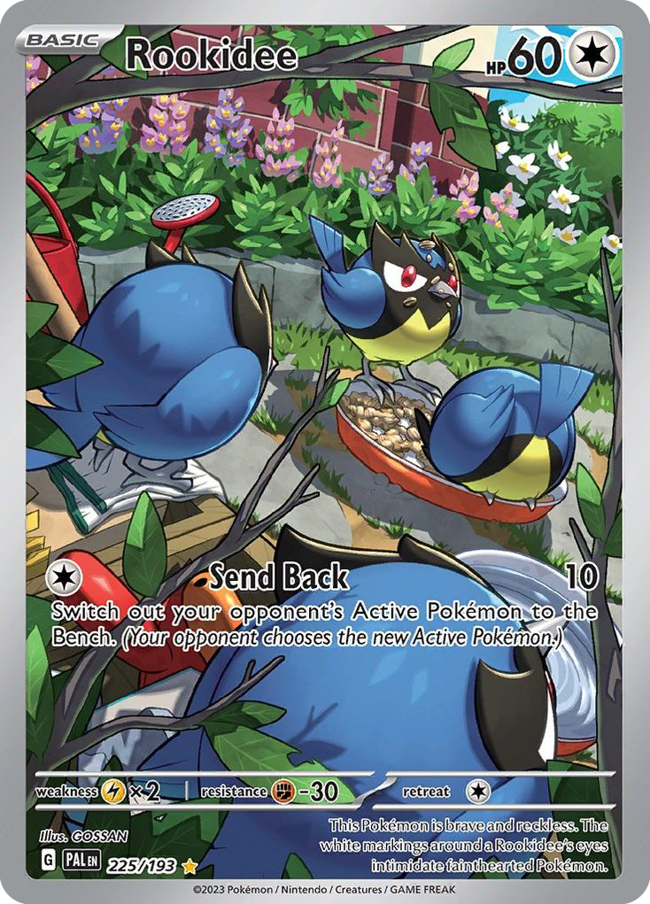 Rookidee — illustrated card