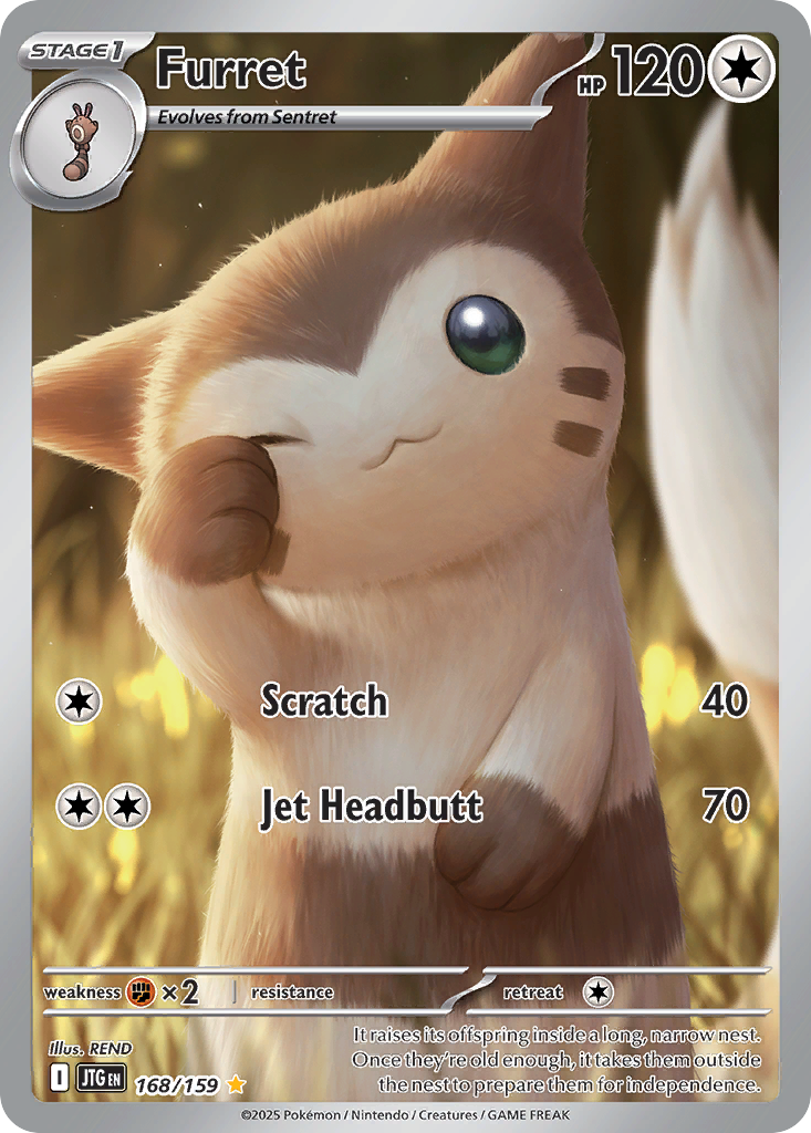 Furret — illustrated card