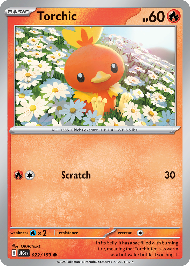 Torchic — illustrated card