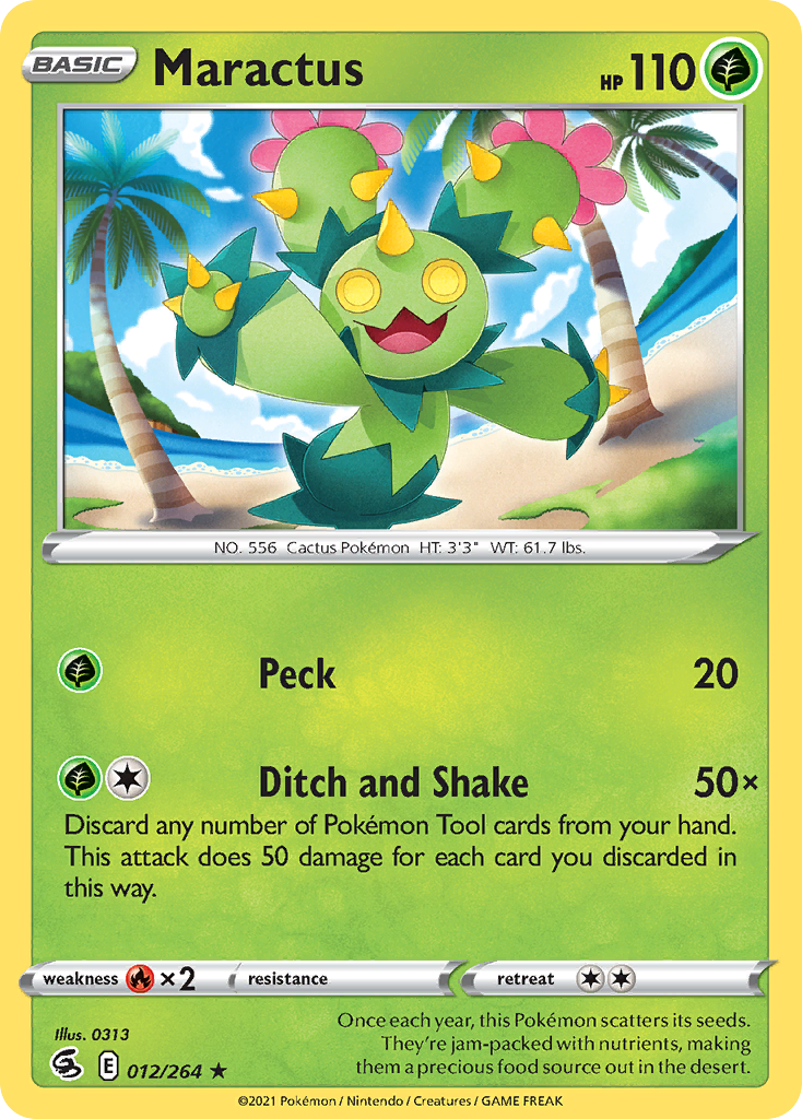 Maractus — illustrated card
