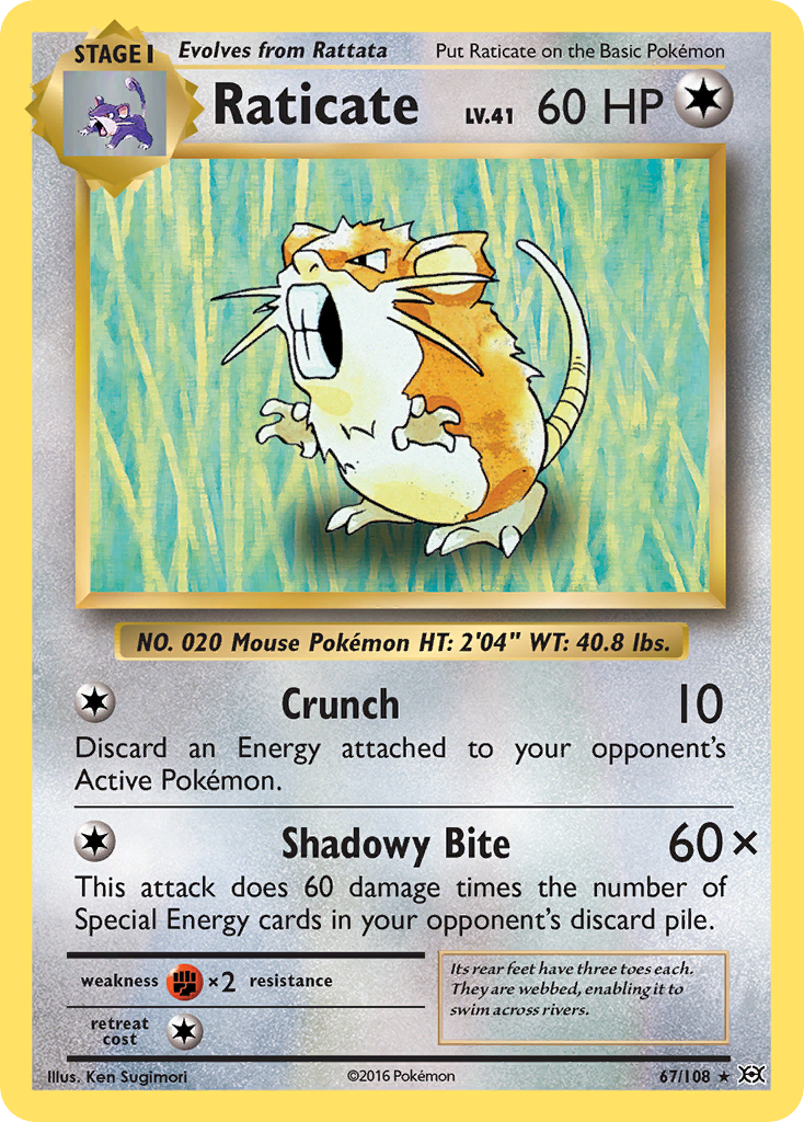 Raticate — illustrated card