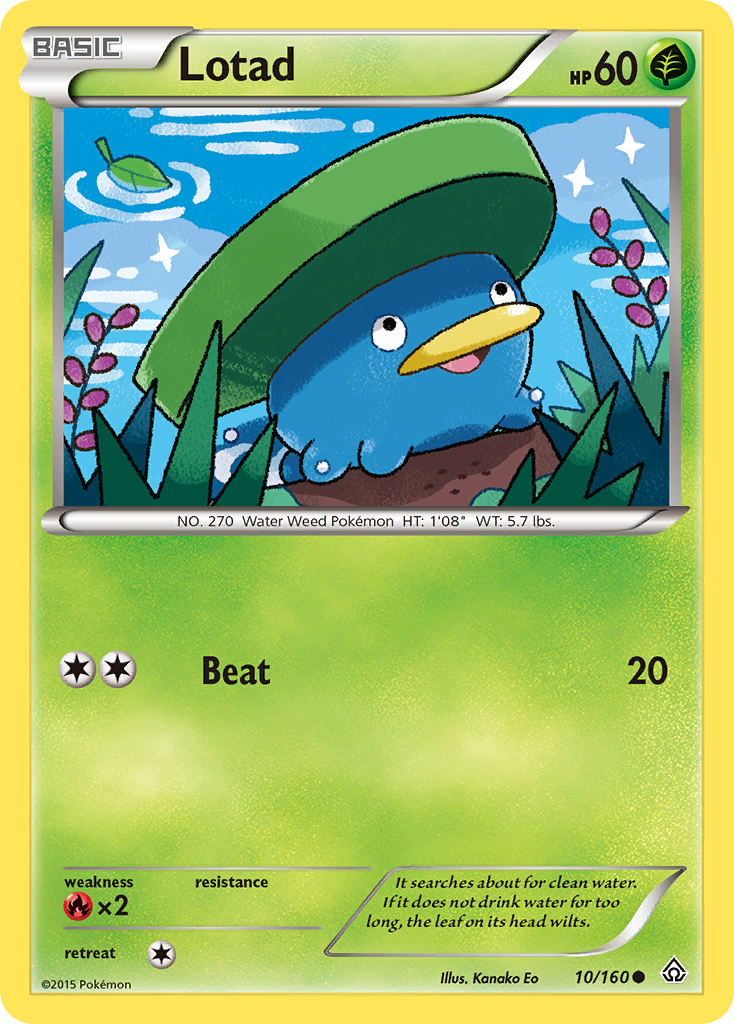 Lotad — illustrated card