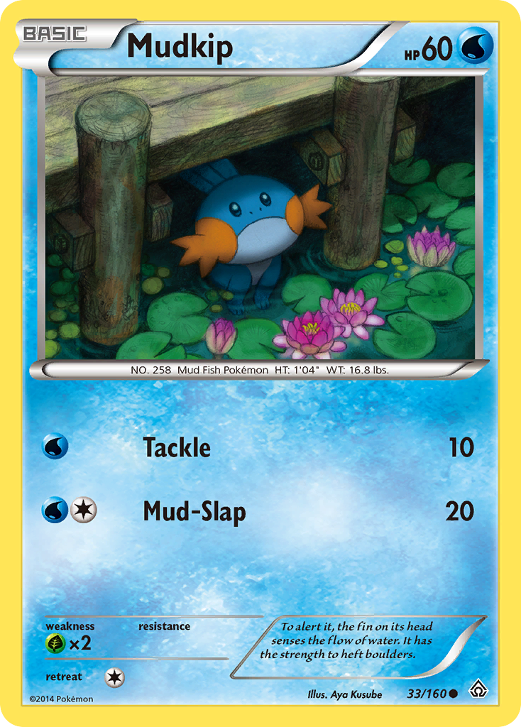 Mudkip — illustrated card