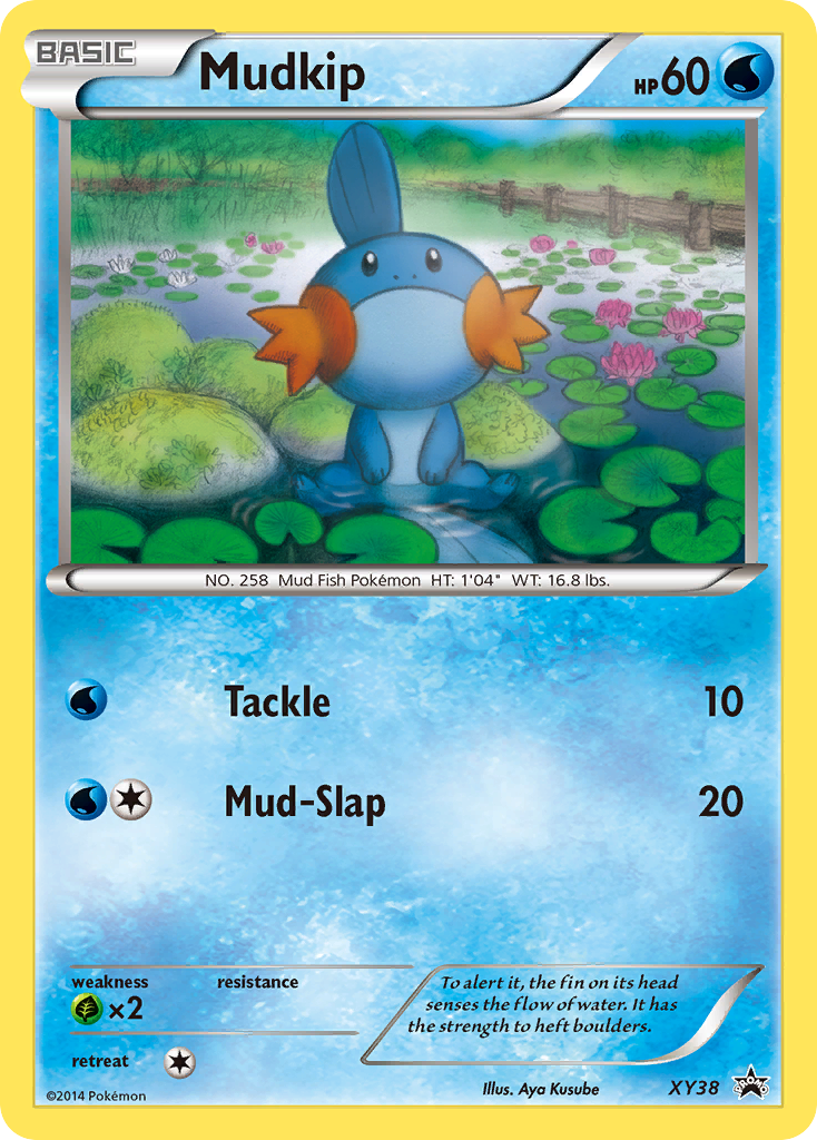 Mudkip — illustrated card